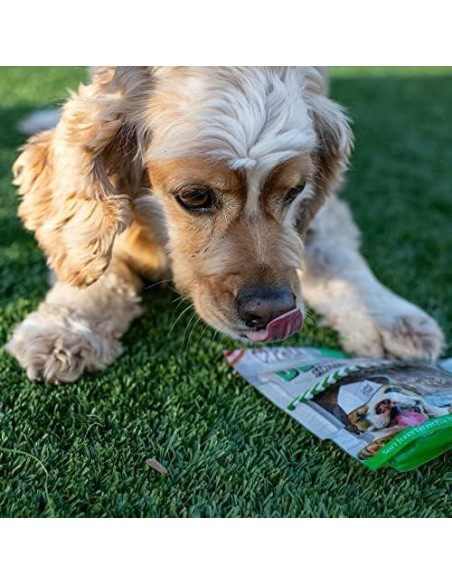 Palitos Dentales Loving Pets para Perros Medianos/Grandes 15 cm