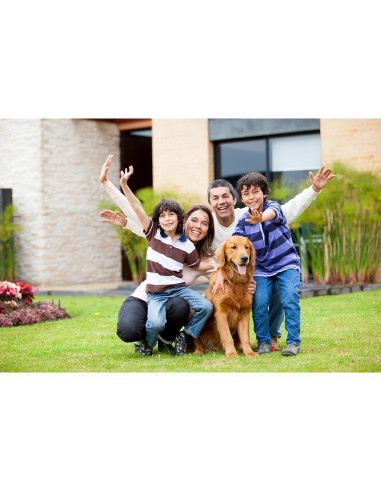 Kit de Higiene Dental Majestic Bombay - 4 Herramientas Esenciales