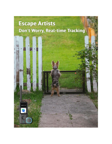 Rastreador GPS Aorkuler para Perros Sin Cuota Mensual Negro