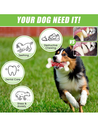 Hueso para Perros Grande DEBAK Indestructible 9.8x6.4cm