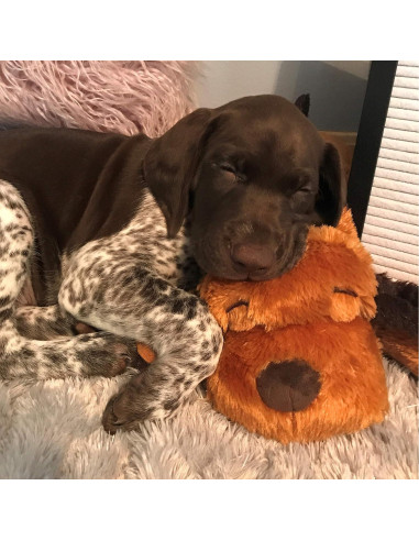 Juguete de Peluche Snuggle Puppy para Cachorros Marrón