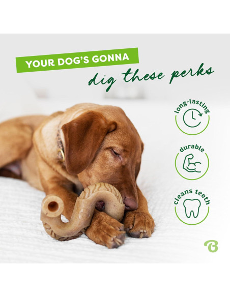 Benebone Hueso de Tripa Real para Perros Pequeños 13.97 cm