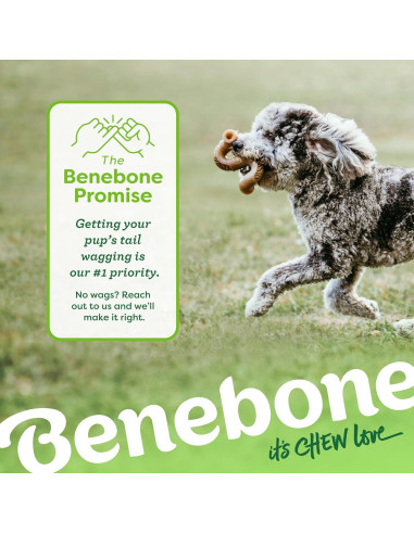 Benebone Hueso de Tripa Real para Perros Pequeños 13.97 cm