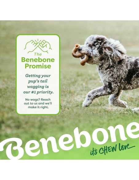 Benebone Hueso de Tripa Real para Perros Pequeños 13.97 cm