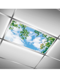 Filtros de Luz Fluorescente Magnéticos RoseFace 2 Pcs 121x61 cm 2