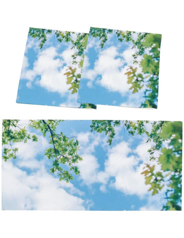 Filtros de Luz Fluorescente Magnéticos RoseFace 2 Pcs 121x61 cm