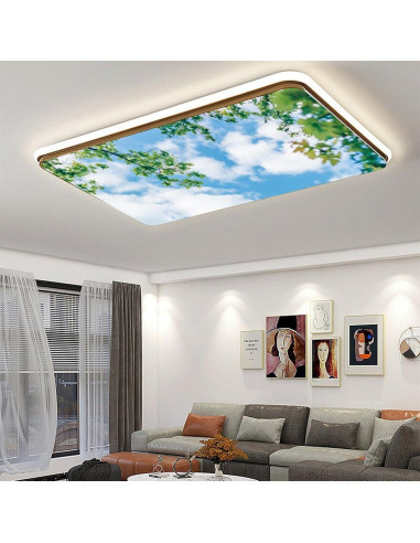 Filtros de Luz Fluorescente Magnéticos RoseFace 2 Pcs 121x61 cm