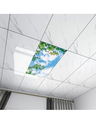 Filtros de Luz Fluorescente Magnéticos RoseFace 2 Pcs 121x61 cm