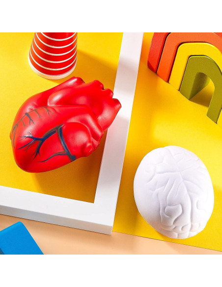 Juego de Juguetes Antiestrés Hungdao 2 Piezas Corazón y Cerebro