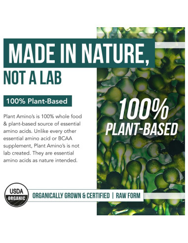 Aminos de Planta Triquetra Health 360 Tabletas Veganas