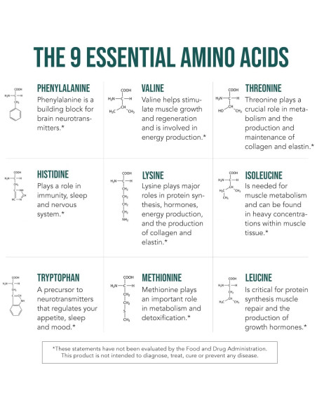 Aminos de Planta Triquetra Health 360 Tabletas Veganas