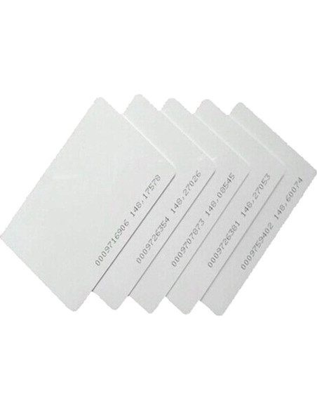 Sistema de Control de Acceso MENGQI 2 Puertas RFID/PIN