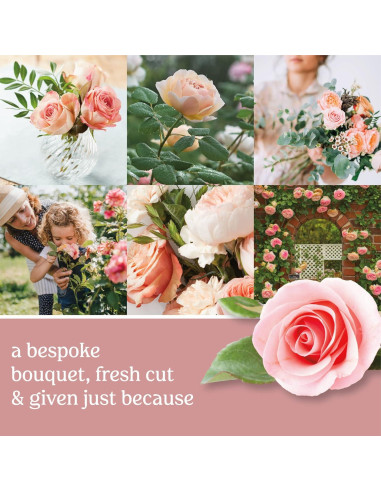 Vela Aromática Yankee Candle 22 oz Rosas Cortadas Frescas