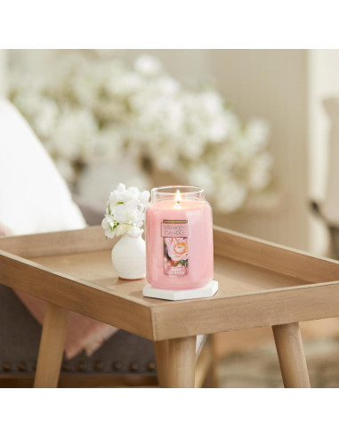 Vela Aromática Yankee Candle 22 oz Rosas Cortadas Frescas