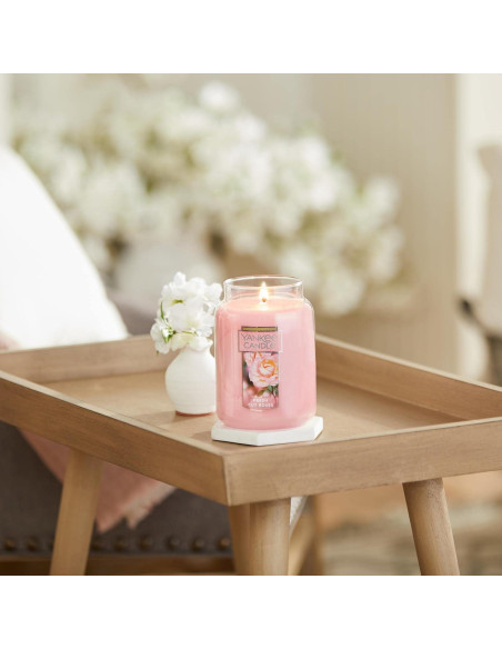 Vela Aromática Yankee Candle 22 oz Rosas Cortadas Frescas