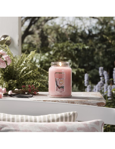 Vela Aromática Yankee Candle 22 oz Rosas Cortadas Frescas