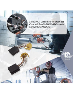 Juego de Cepillos de Carbón XTPTFABS Compatible DMS 240 2