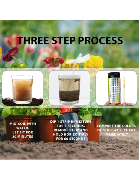 Kit de Prueba de pH del Suelo Dewildetradingco - 100 Tiras