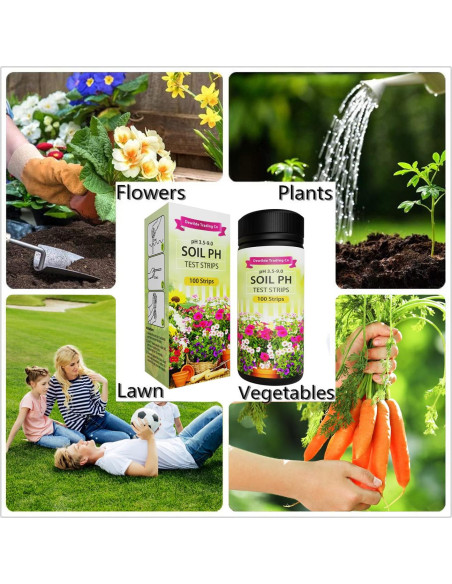Kit de Prueba de pH del Suelo Dewildetradingco - 100 Tiras