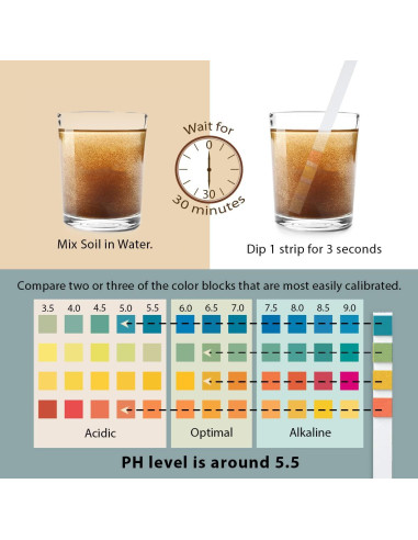 Kit de Prueba de pH del Suelo Dewildetradingco - 100 Tiras