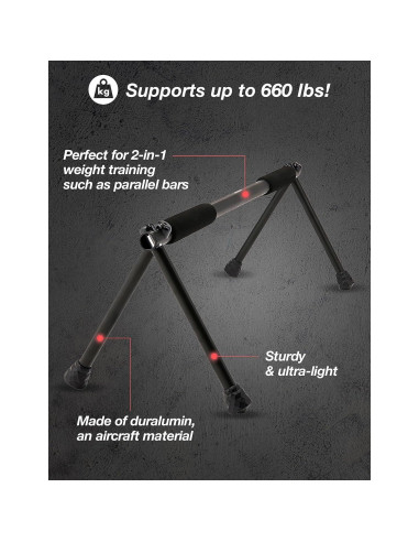 Barra de Flexiones Plegable Withgear Duraluminio 300kg