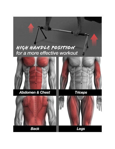 Barra de Flexiones Plegable Withgear Duraluminio 300kg