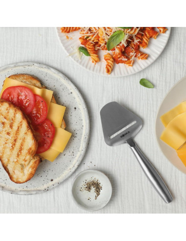 Cortador de Queso Multifuncional BOSKA Acero Inoxidable 22 cm