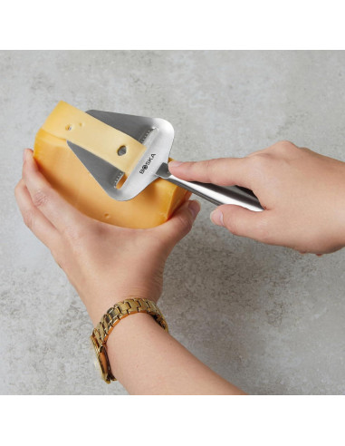 Cortador de Queso Multifuncional BOSKA Acero Inoxidable 22 cm