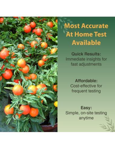 Kit de Prueba de Suelo 4 en 1 Dewilde - 40 Pruebas pH/N/P/K