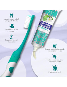 Cepillo de Dientes Plegable GuruNanda con Pasta Hidroxiapatita 2