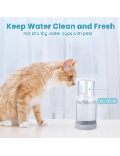 Juego de Jarra y Vaso de Noche Wikapy 532 ml con Posavasos 2