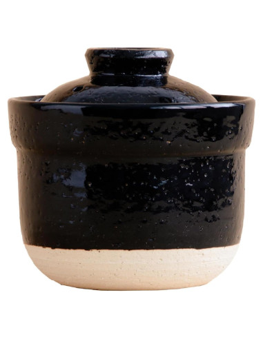 Olla de Arroz Instantánea Iga No Takumi 1.13 kg para Microondas