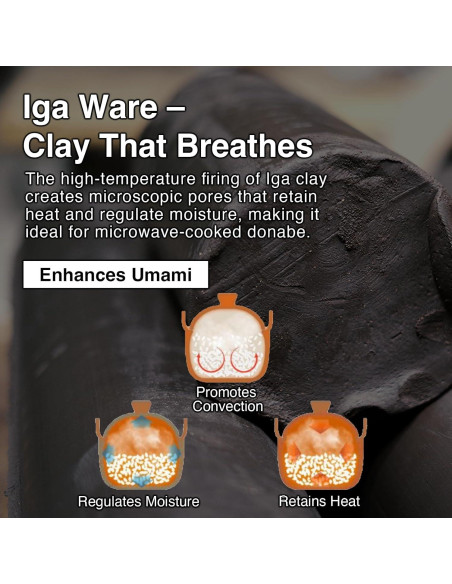 Olla de Arroz Instantánea Iga No Takumi 1.13 kg para Microondas