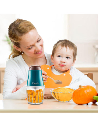 Licuadora de Comida para Bebés Vroyuir 600ml con 10 Cuchillas