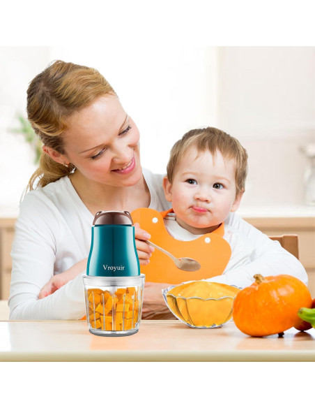 Licuadora de Comida para Bebés Vroyuir 600ml con 10 Cuchillas