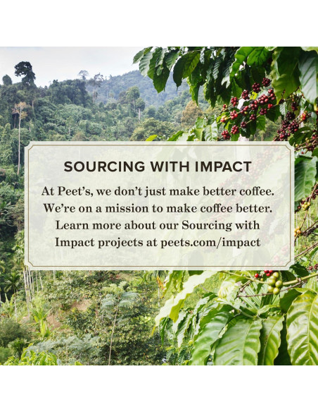 Cápsulas de Espresso Peet's Coffee Variedad 40 Unidades