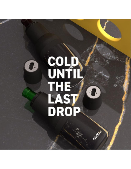 Enfriador de Cerveza Asobu Frosty Beer 2 Go Acero Inoxidable