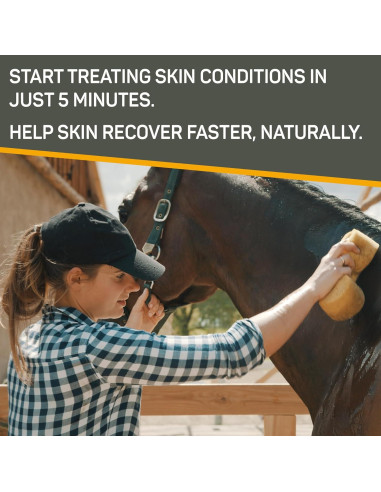 Champú Medicado Absorbine Silver Honey 473 ml Rejuvenecedor