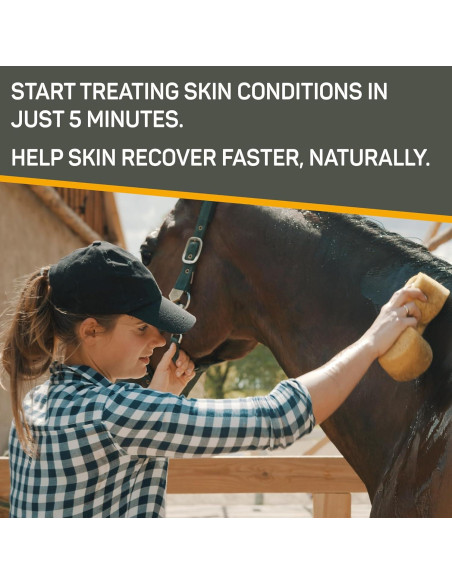 Champú Medicado Absorbine Silver Honey 473 ml Rejuvenecedor