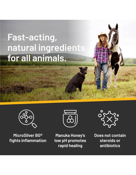 Champú Medicado Absorbine Silver Honey 473 ml Rejuvenecedor