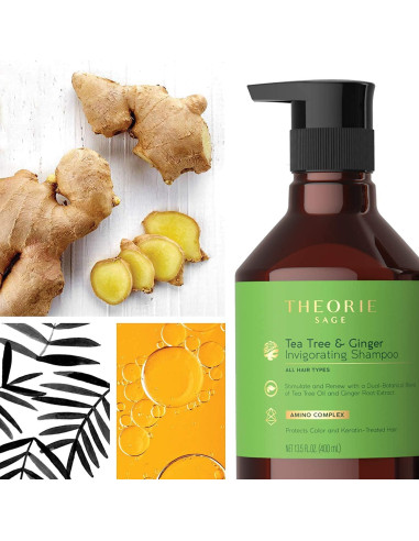 Champú Estimulante Theorie 800mL Árbol de Té y Jengibre
