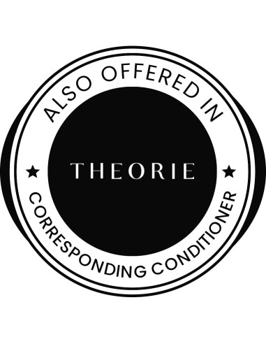 Champú Estimulante Theorie 800mL Árbol de Té y Jengibre