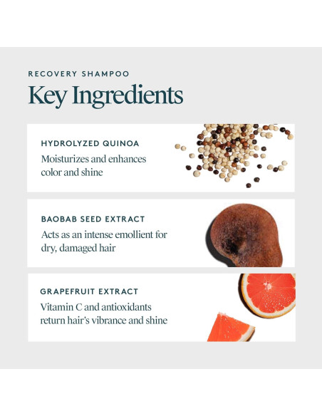 Champú Sin Sulfatos VIRTUE Recovery 295g Queratina Baobab