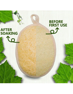 Paquete de 3 Esponjas de Lufa Natural Exfoliantes 10-16 cm 2
