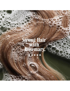 Nécessaire Champú y Acondicionador Romero 250 ml - Cuidado Cabello 2