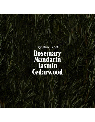 Nécessaire Champú y Acondicionador Romero 250 ml - Cuidado Cabello