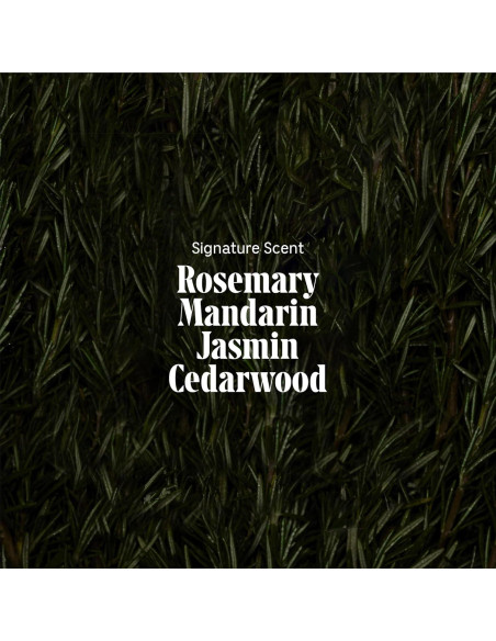 Nécessaire Champú y Acondicionador Romero 250 ml - Cuidado Cabello