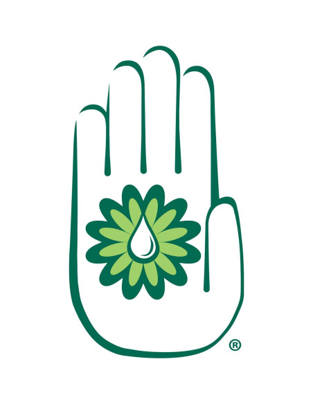 Crema de Manos Glysomed Sin Fragancia 200 mL Hipoalergénica