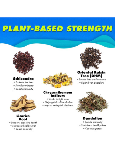 Bebida Detox The Plug 6x100ml - Soporte Hepático Natural