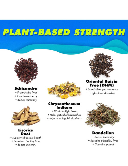 Bebida Detox The Plug 6x100ml - Soporte Hepático Natural